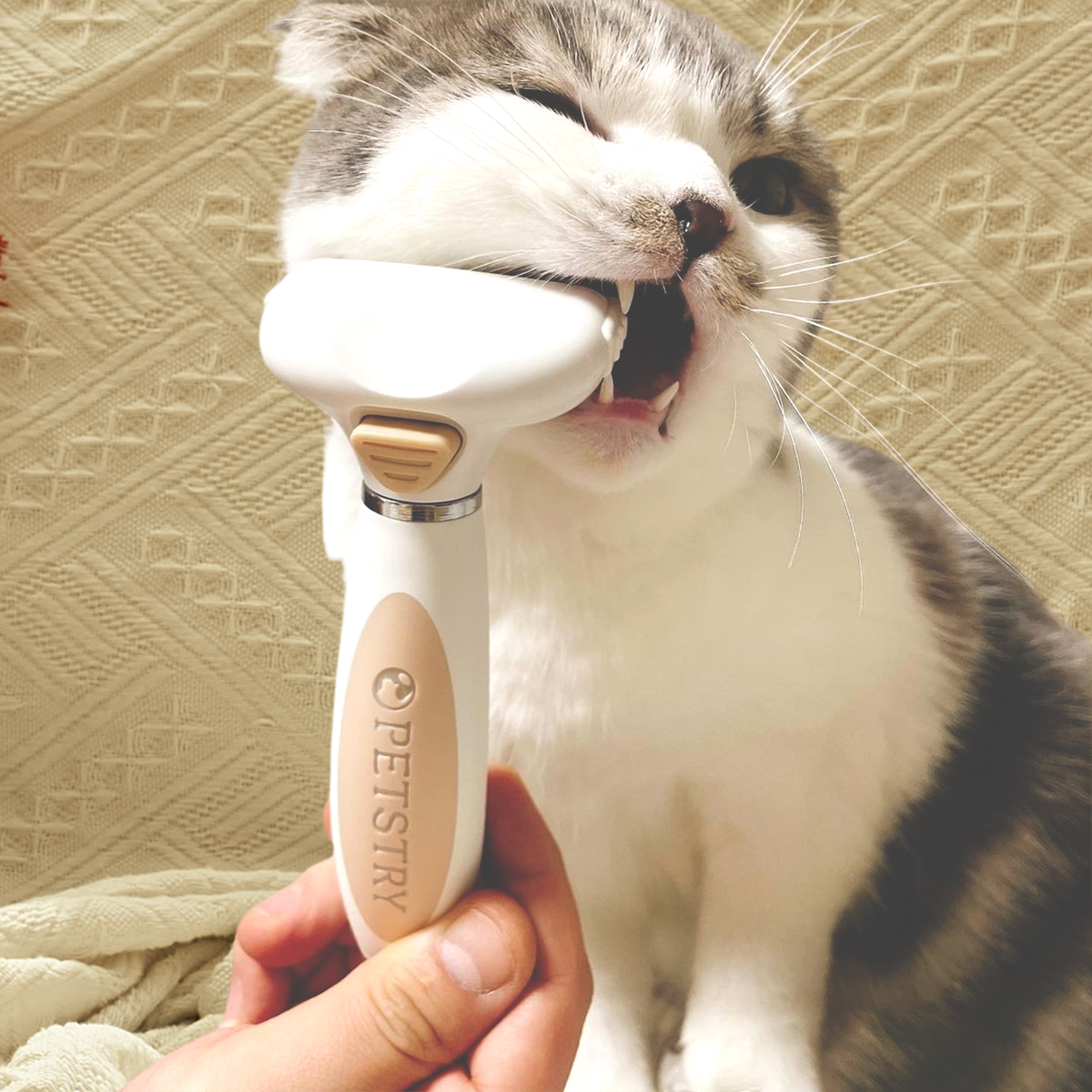 펫스츄리 강아지빗 고양이빗 원터치 죽은털제거브러쉬 S