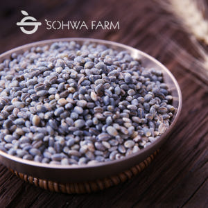 2025년 국산 청보리 쌀 1kg 청색보리 맛있게 먹은 솔직 후기 - 상품 이미지 1