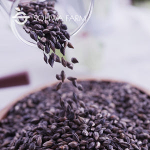 소화농장 국산 흑보리차 500g 검정 블랙 보리차 맛있게 먹은 솔직 후기 - 상품 이미지 3