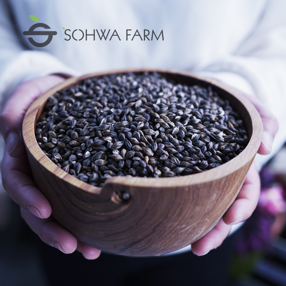 소화농장 국산 흑보리차 500g 검정 블랙 보리차