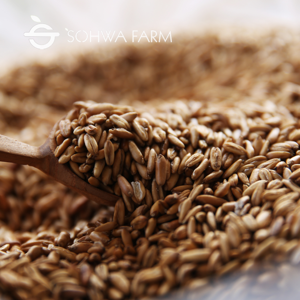 국산 볶은 귀리 뻥튀기 500g 귀리 시리얼