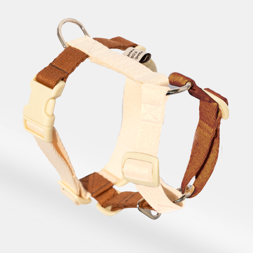 https://shop-phinf.pstatic.net/20240307_138/1709792710797yXc8W_JPEG/110928553507565477_1964376721.jpg