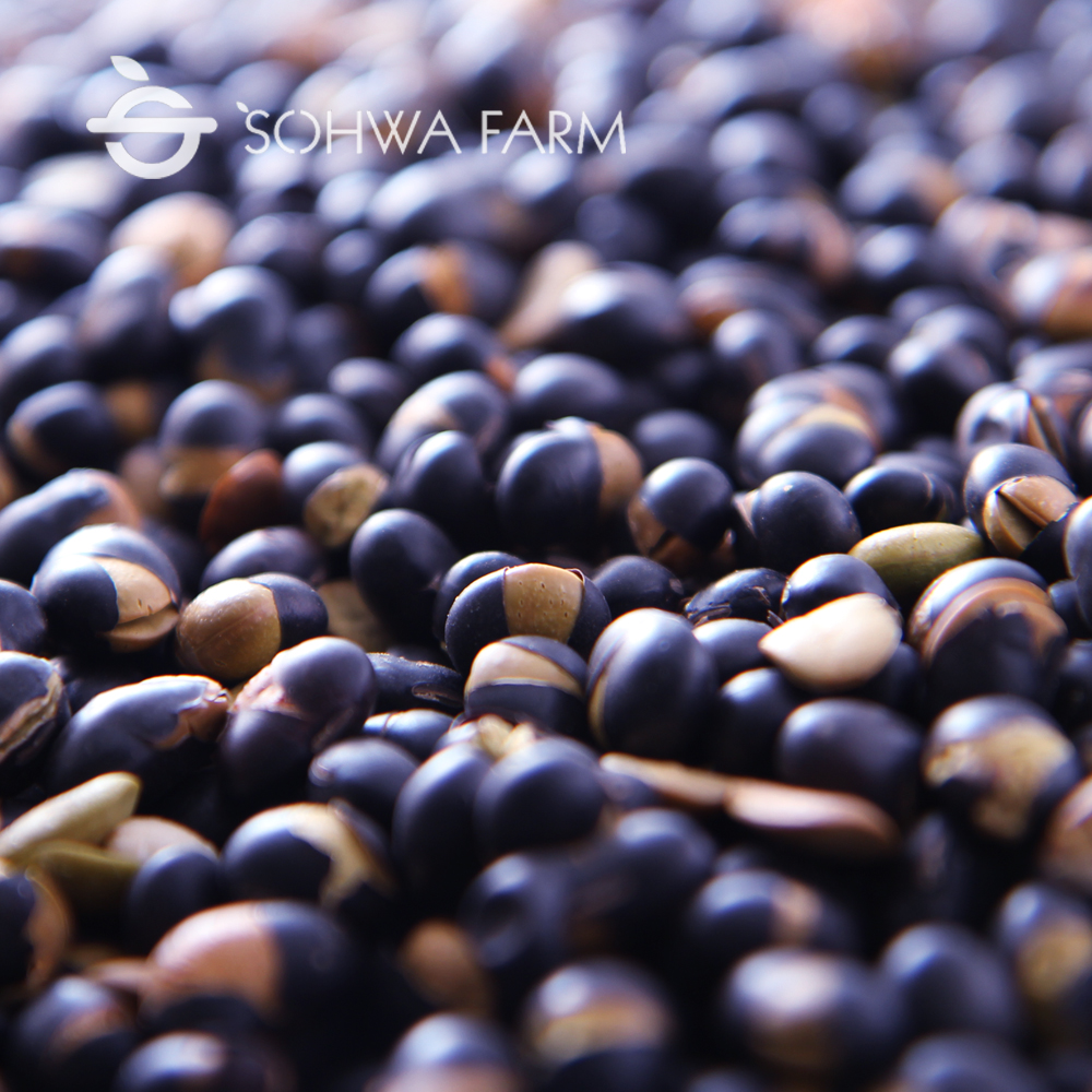 국산 검은콩볶음 서리태뻥튀기 300g 볶은검은콩