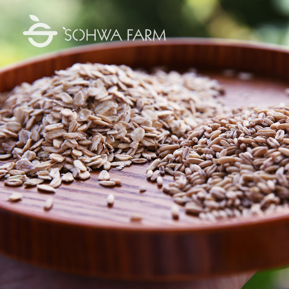 2025년 국산 납작 압착귀리 오트밀 700g