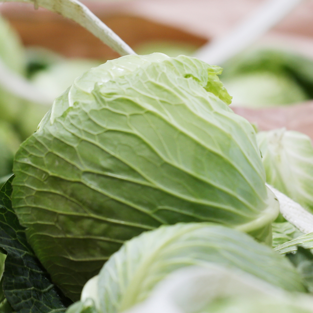 유기농 양배추즙 100ml 30포 진액 엑기스