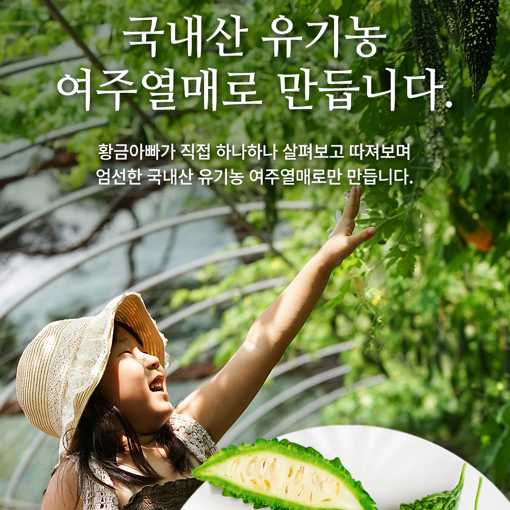 유기농 생 여주즙 100ml 30포 진액 엑기스 - 상세 이미지 3