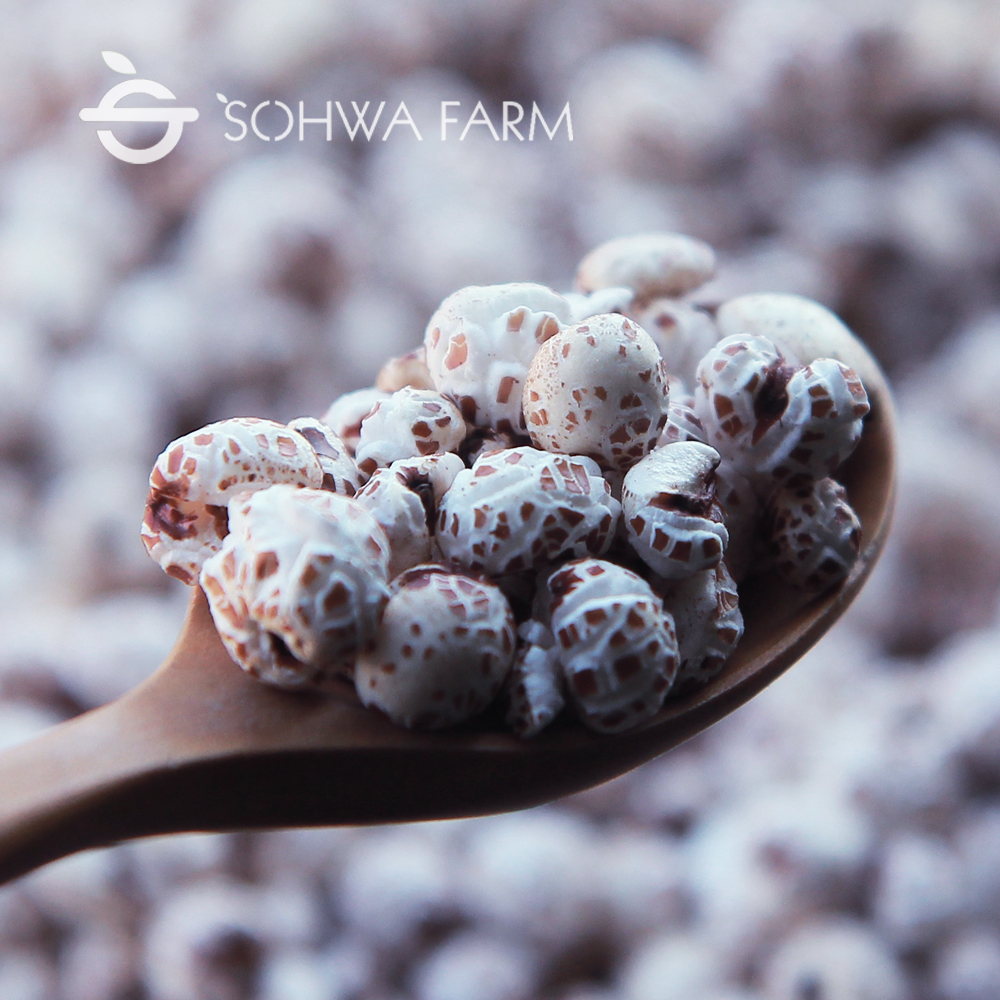 국산 햇 현미율무 뻥튀기 500g 율무뻥튀기