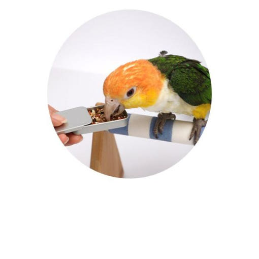 thumbnail-5