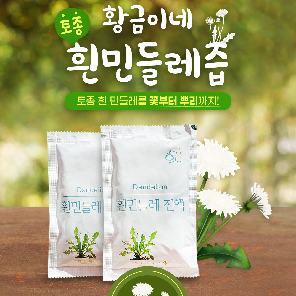 흰민들레즙 100ml 50포 진액 엑기스 - 상세 이미지 4
