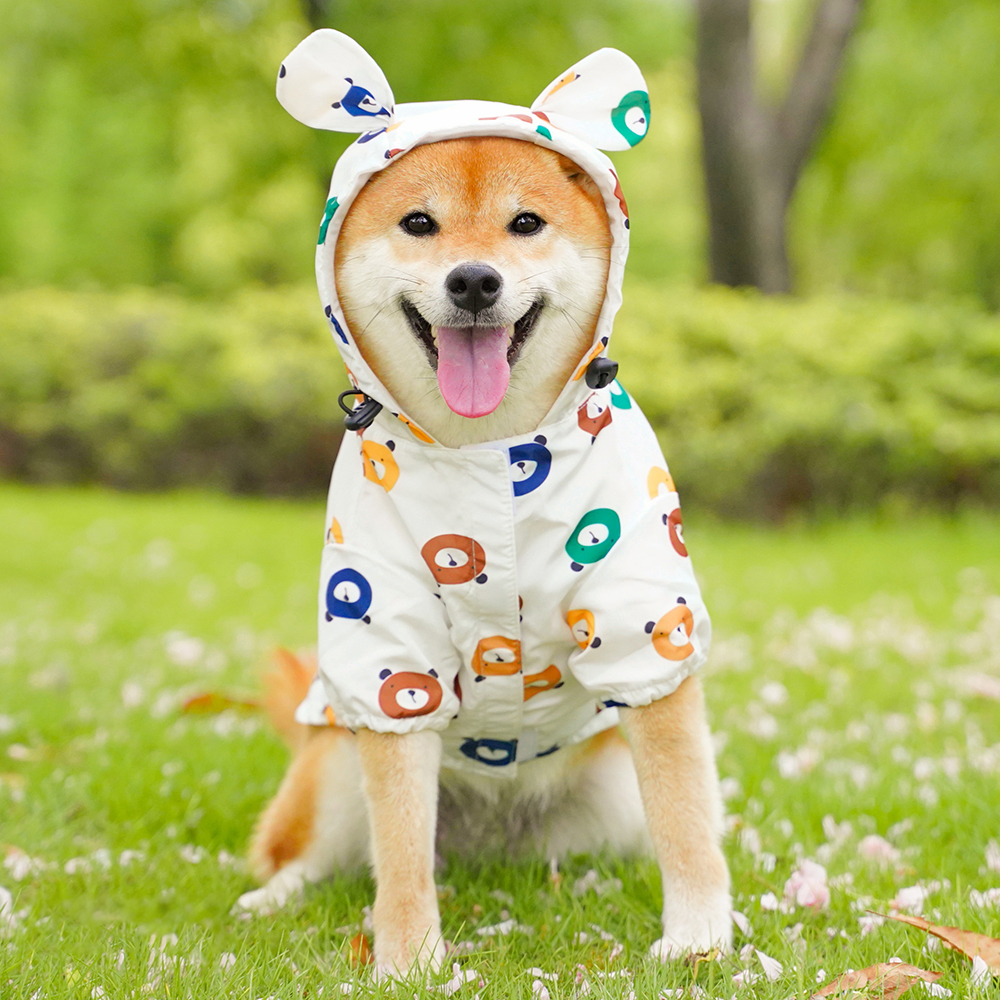 강아지 우비 곰돌이 비옷 바람막이 S - 상세 이미지 2