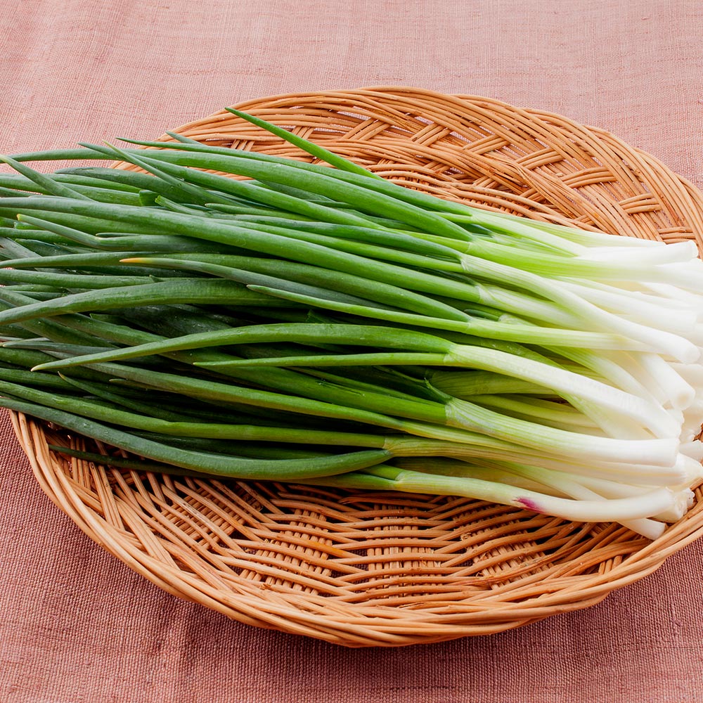 산지직송 국내산 쪽파 깐쪽파 흙쪽파 1kg 1단 - 상세 이미지 5