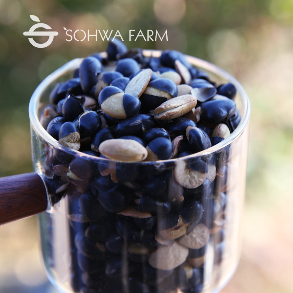 2024년 국산 볶은검은콩 서리태뻥튀기 500g검은콩볶음