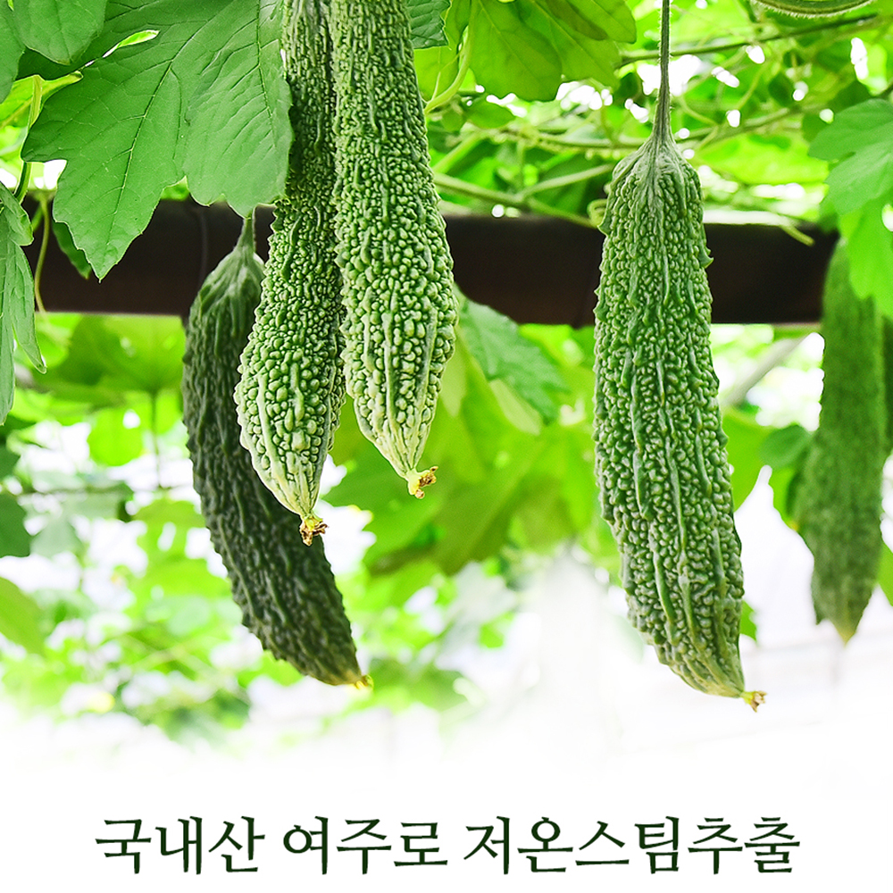 유기농 생 여주즙 100ml 30포 진액 엑기스 - 상세 이미지 4