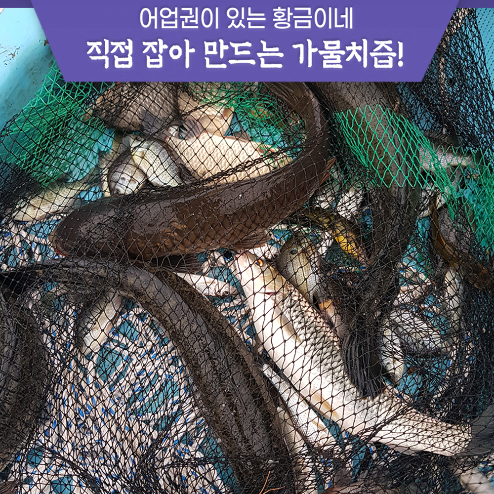 자연산 가물치즙 100ml 30포 진액 엑기스 - 상세 이미지 3