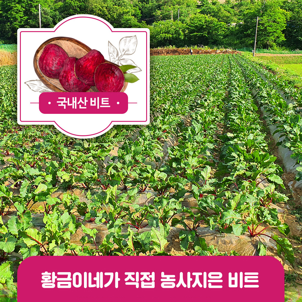물없이 통째로 갈아만든 착즙 비트즙 100ml 30포 진액 엑기스 - 상세 이미지 3
