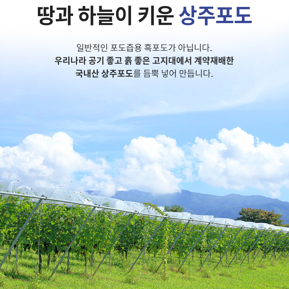 물넣지않은 nfc 착즙 포도즙 100ml 30포 주스 - 상세 이미지 4