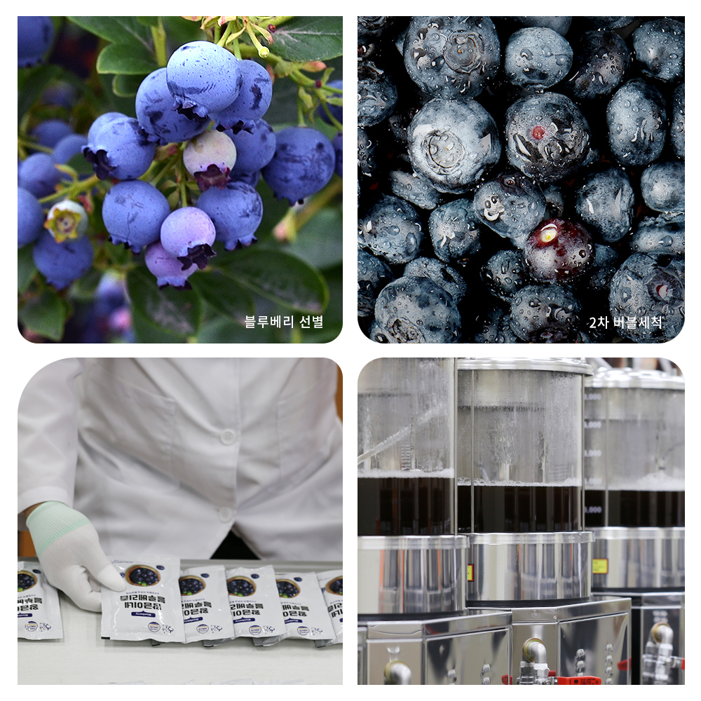 블루베리즙 블루베리 70ml 30포 주스