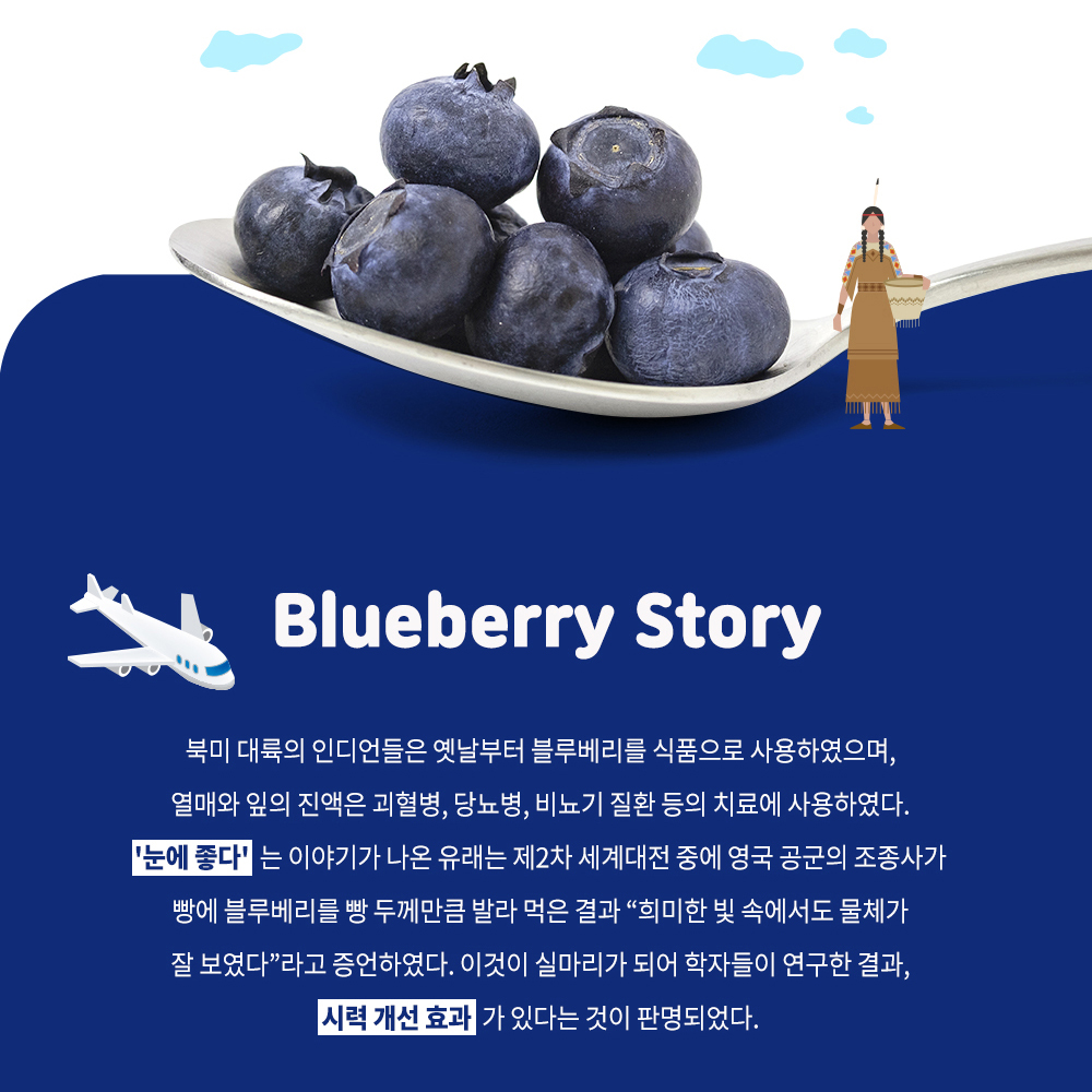 블루베리즙 블루베리 70ml 30포 주스