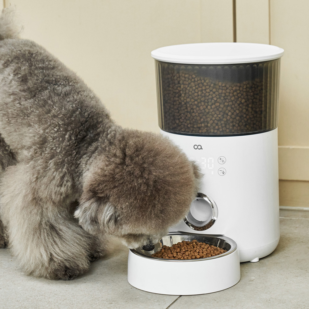 오아 이리와 펫 대용량 고양이 강아지 자동급식기 음성녹음