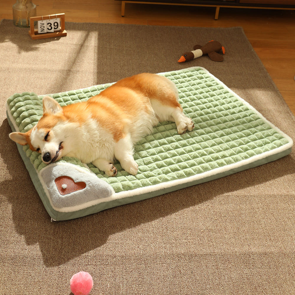 방석 비교 이미지