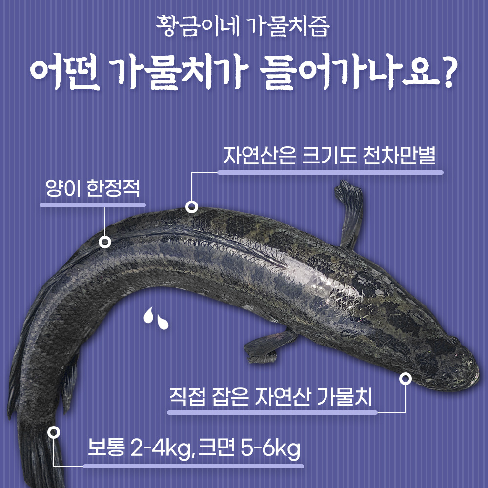 자연산 가물치즙 100ml 30포 진액 엑기스 - 상세 이미지 4