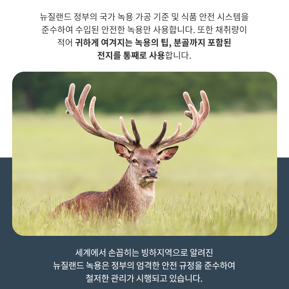 녹용진액 100ml 30포 엑기스 즙 - 상세 이미지 5