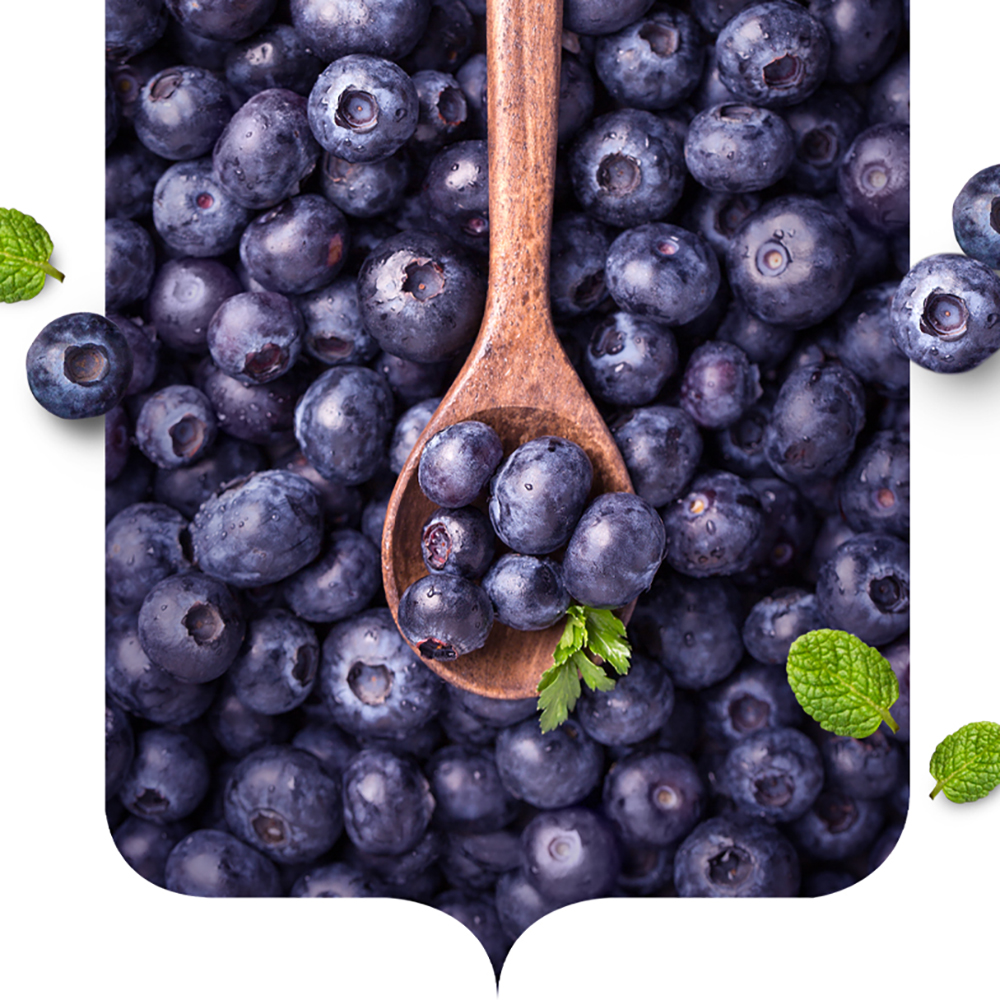 블루베리즙 블루베리 70ml 30포 주스