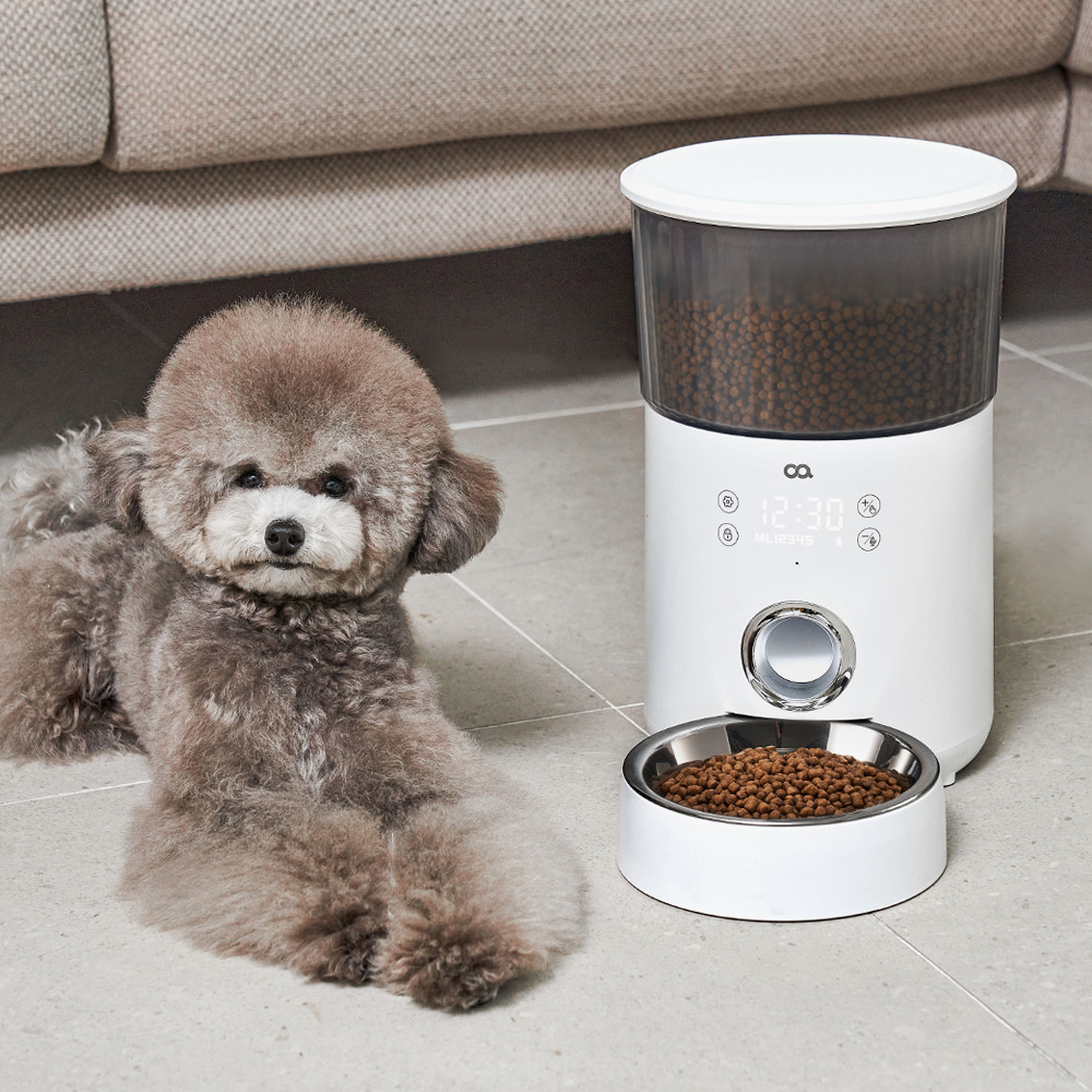 오아 이리와 펫 대용량 고양이 강아지 자동급식기 음성녹음