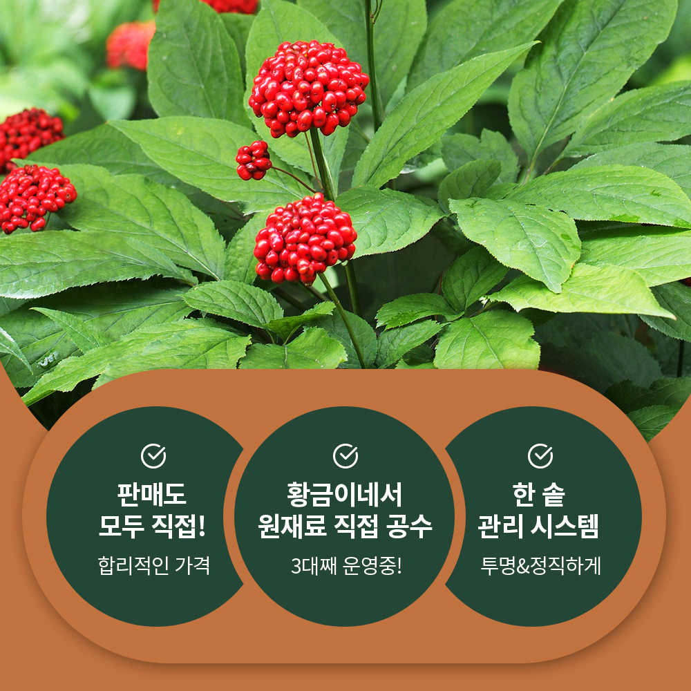 6년근 홍삼액 100ml 30포 즙 진액 엑기스 이미지 7