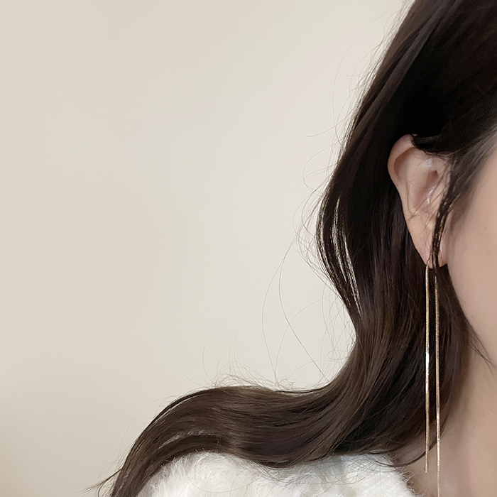두줄 뱀줄 투웨이 롱 드롭 귀걸이 티타늄 목디스크귀걸이 거북목 교정 - 상세 이미지 3