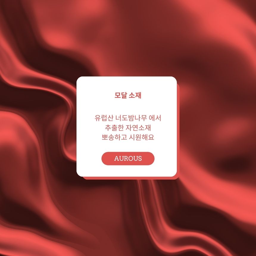 비건팬티 나무팬티 자연팬티 모달팬티 미디라이즈팬티 후기좋은팬티 베스트셀러팬티 신학기팬티 빅사이즈팬티 여자팬티88 여자팬티77 새학기속옷 압박없는팬티 보정팬티 기본팬티 여성편한팬티 - 상세 이미지 4