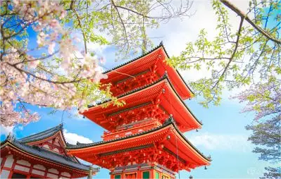 일본 기요미즈데라 & 후시미 이나리 신사 & 나라 공원 투어 (오사카/교토 출발) - 상세 이미지 2