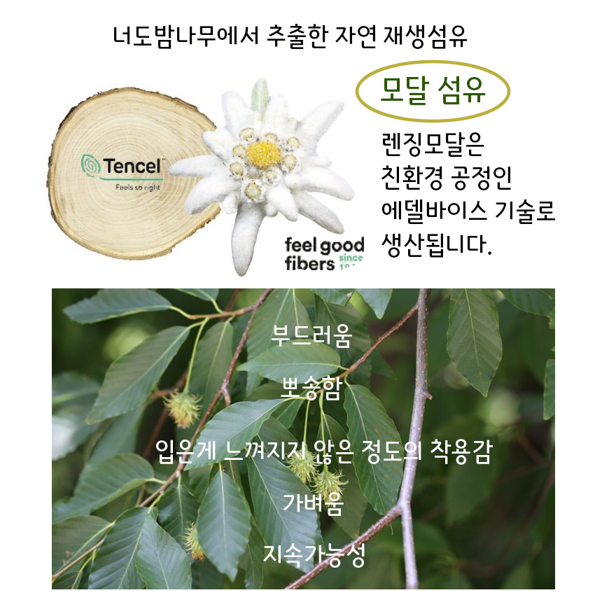 비건팬티 나무팬티 자연팬티 모달팬티 미디라이즈팬티 후기좋은팬티 베스트셀러팬티 신학기팬티 빅사이즈팬티 여자팬티88 여자팬티77 새학기속옷 압박없는팬티 보정팬티 기본팬티 여성편한팬티 - 상세 이미지 5