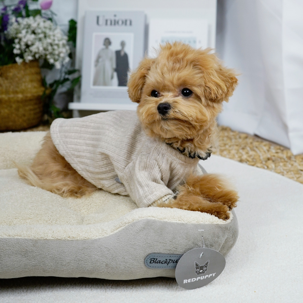 개과천선 D에루 강아지 방석 애견 대형견 고양이 꿀잠 쿠션 논슬립 극세사 - 상세 이미지 5