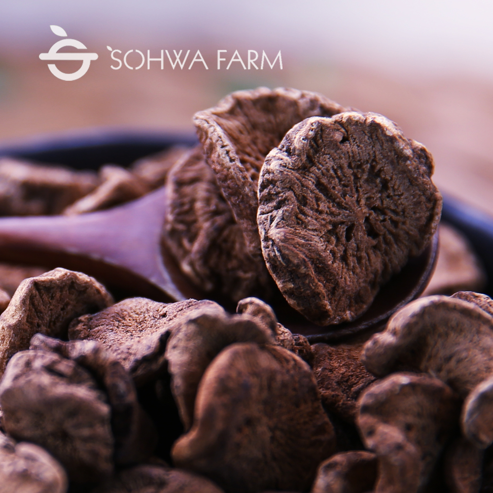 국산 볶은 우엉차 100g 말린우엉차