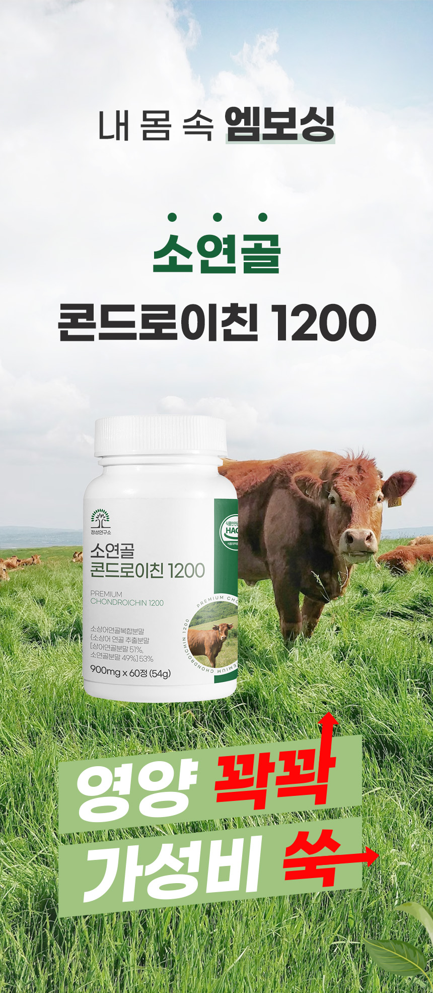 콘드로이친 1200 소연골 상어연골 콘도로이친 60정 효능 - 상세 이미지 3