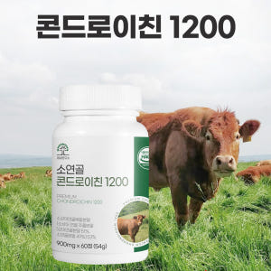콘드로이친 1200 소연골 상어연골 콘도로이친 60정 효능 맛있게 먹은 솔직 후기 - 상품 이미지 2