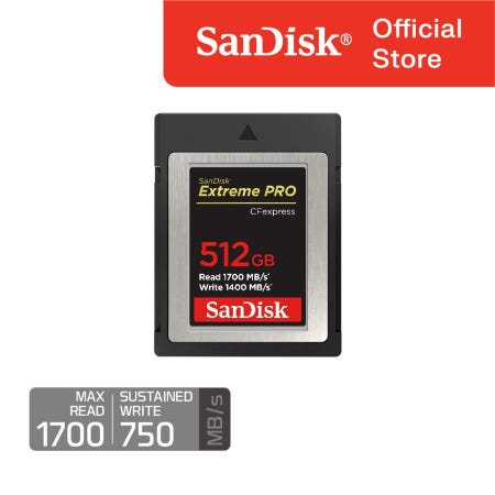 샌디스크 익스트림 프로 CFexpress Type B 512 GB 기가 SDCFE