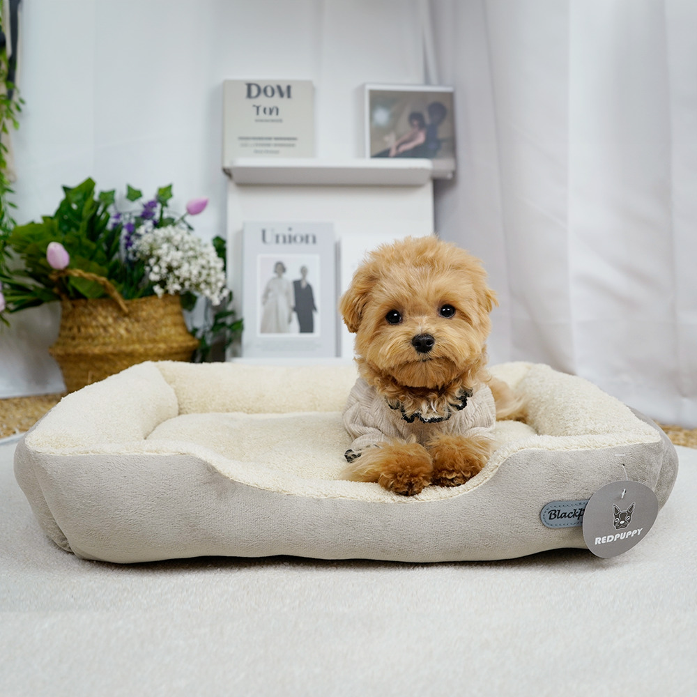 개과천선 D에루 강아지 방석 애견 대형견 고양이 꿀잠 쿠션 논슬립 극세사