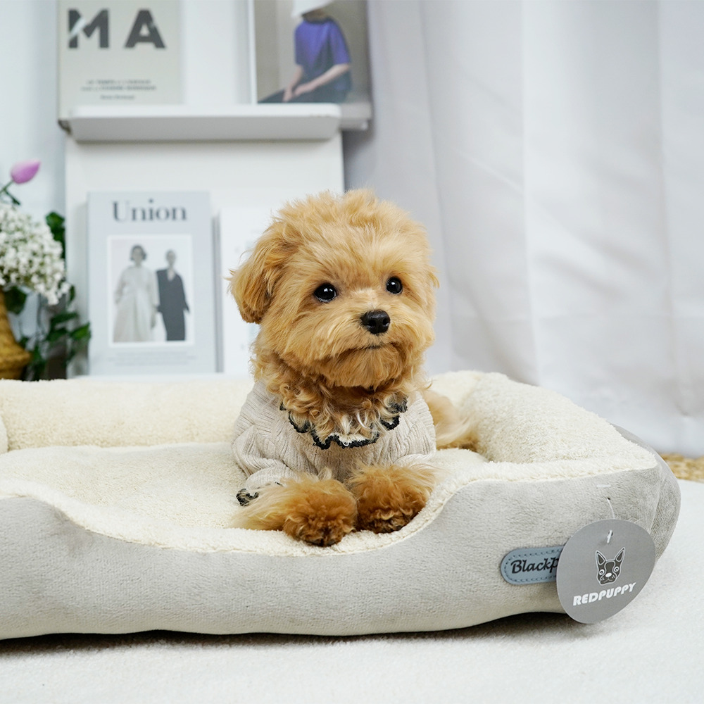 개과천선 D에루 강아지 방석 애견 대형견 고양이 꿀잠 쿠션 논슬립 극세사 이미지 6