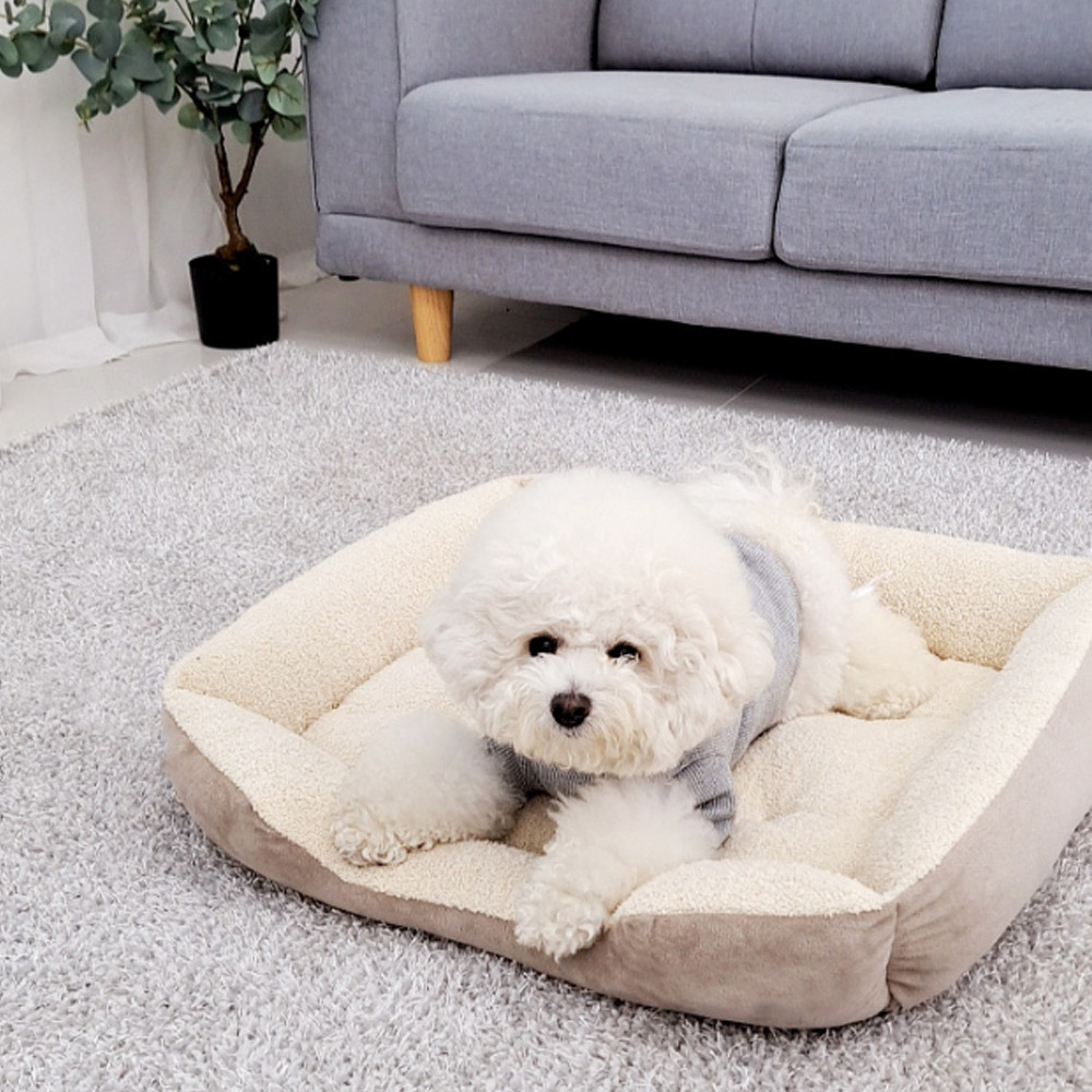 개과천선 D에루 강아지 방석 애견 대형견 고양이 꿀잠 쿠션 논슬립 극세사 - 상세 이미지 2