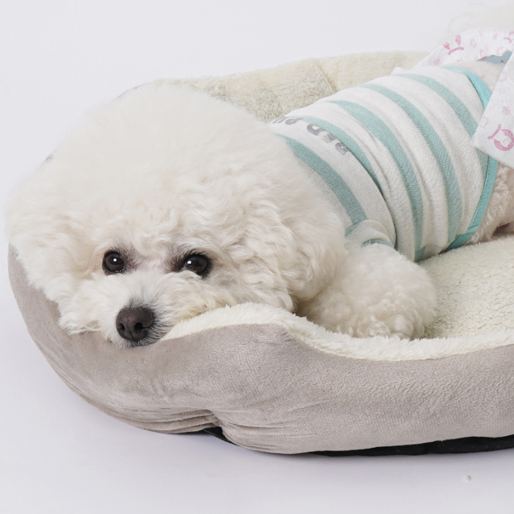 개과천선 D에루 강아지 방석 애견 대형견 고양이 꿀잠 쿠션 논슬립 극세사 - 상세 이미지 4