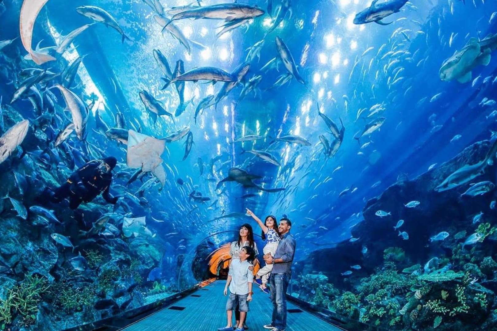 고시티 두바이 올 인클루시브 패스(Dubai All-Inclusive pass) - 상세 이미지 4