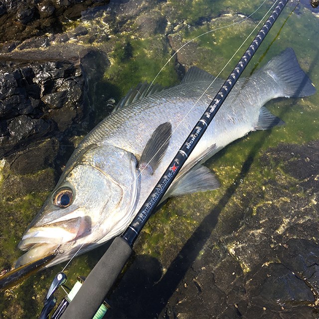 NS 허리케인X 인쇼어 캐스팅낚시대 S-872ML - 상세 이미지 4