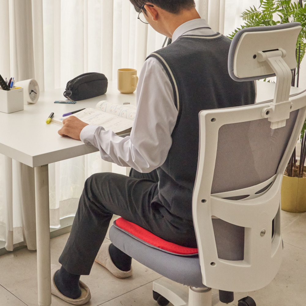 밸런스온 기능성 핏시트 2입 L SIZE (자세교정 수험생 사무실 벌집 쿨링 쿨 의자방석)