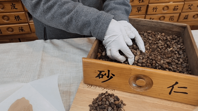 영화식품 양춘사 추출물 대용량 분말 사인 효능 100g 이미지 8