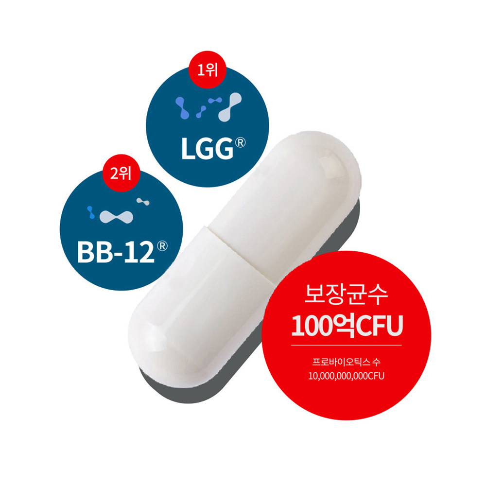 덴마크유산균이야기 12개월분 60캡슐 6박스 엘지지 공유 탁 LGG 유산균 덴프스