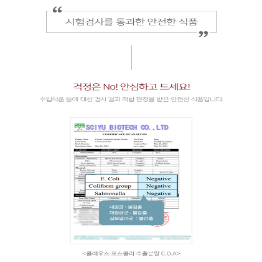 콜레우스 포스콜리 추출분말 이미지 7