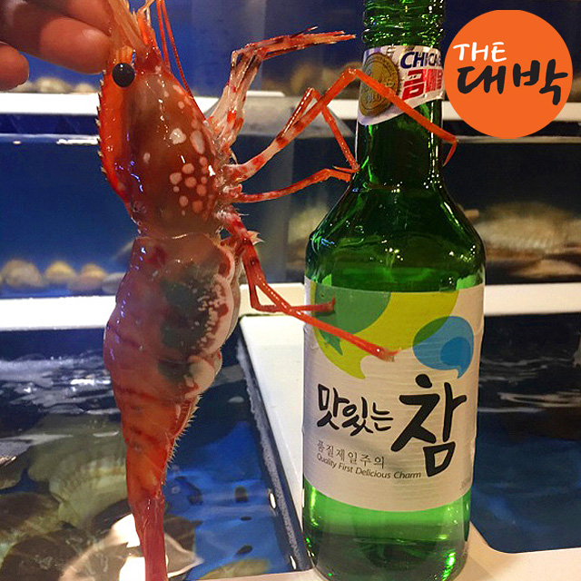 활 독도새우 꽃새우 닭새우 도화새우 버스발송가능 급냉