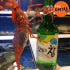 독도새우 활 꽃새우 닭 도화 버스발송 가능 맛있게 먹은 솔직 후기 썸네일